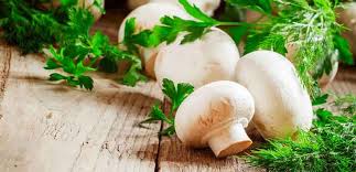تصویر 2 از خرید قارچ دکمه ای ریز + قیمت فروش استثنایی